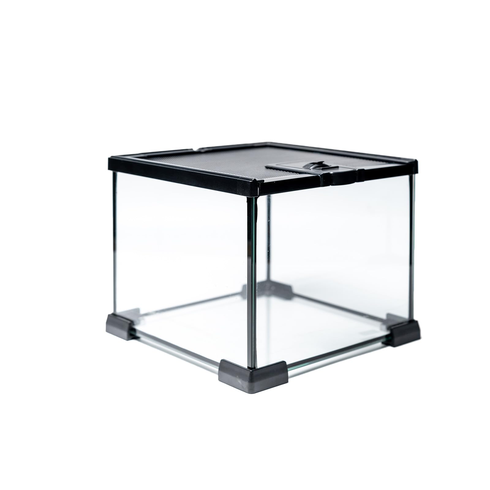 Repticircle Gallon Full Glass Reptile Tank, Medium Terrarium For Gecko, Hermit Crab, Hognose Snake & More, With Top Screen Venti