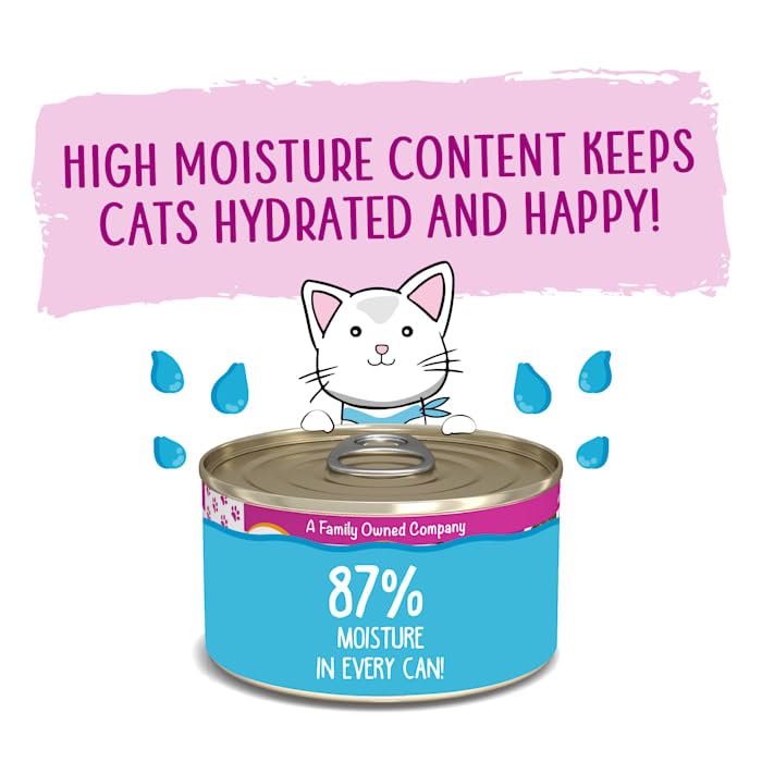 Weruva Wet Cat Food, Tic Tac Whoa with Tuna and Salmon Pate, 3oz Can, Pack of 12