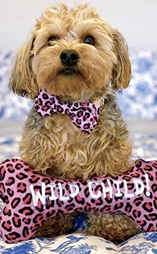 Leopard Print Bow In Pink