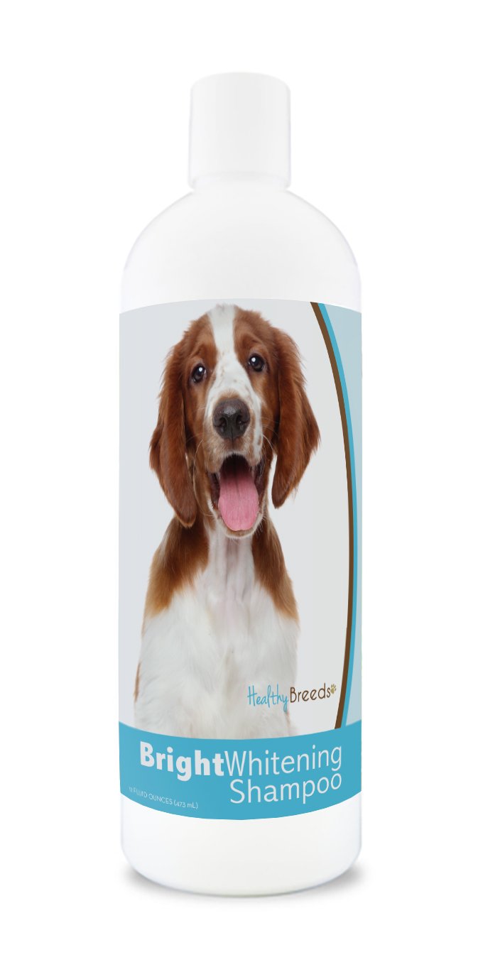 Healthy Breeds Welsh Springer Spaniel Bright Whitening Shampoo 12 Oz