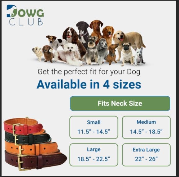 Dowgclub | Genuine Leather Dog Collar | Full Grain, Heavy Duty | Comfortable, Padded, Strong | Best For Pups, Small, Medium, Lar