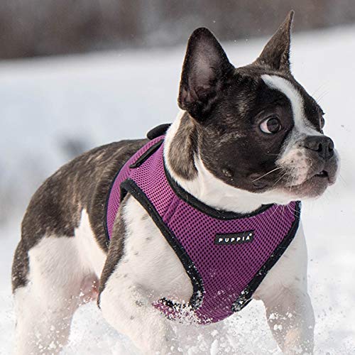 PUPPIA International Harness Soft B Vest, X-Small, Purple