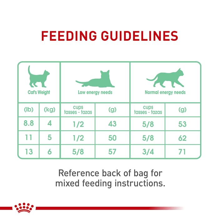 Royal Canin Digestive Care Dry Cat Food, 6 lb bag