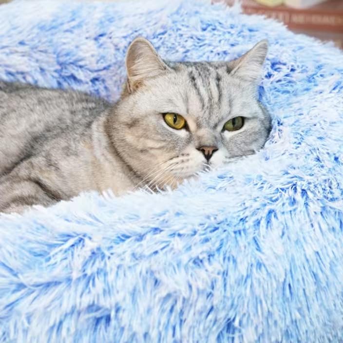 Cat Beds For Indoor Cats - Cat Bed Washable 20/24 Inches, Dog Beds For Small Medium Dogs, Anti Anxiety Round Fluffy Plush Faux Fur Cat Bed, Thick Bottom (Cornflower Blue, Medium)