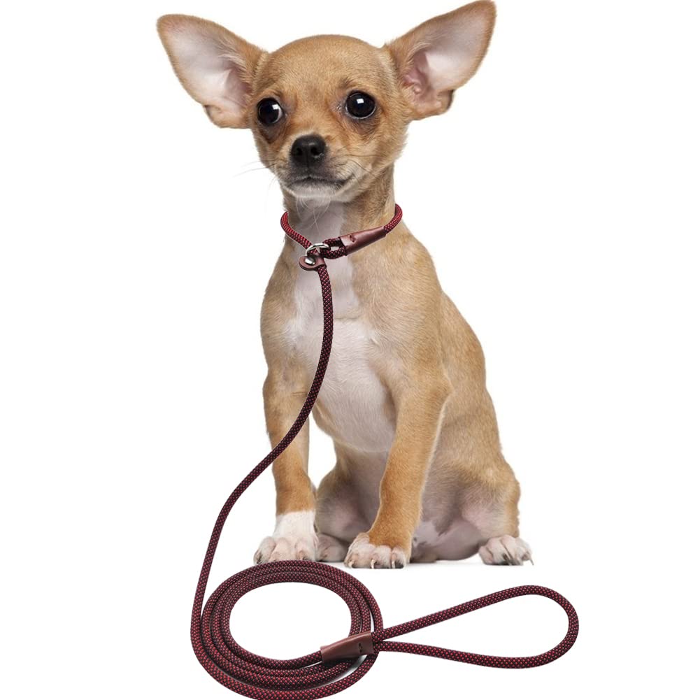 BTINESFUL 7FT Slip Lead Dog Leash, Strong Nylon Rope Leash, 1/4 & 1/2 inch Diam Dog Training Lead for Small Medium Large Dogs