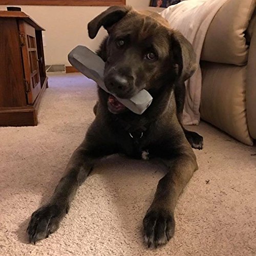 Indestructibone XL Plus - Virtually Indestructible Dog chew Toy - for Dogs 51-100 lbs.