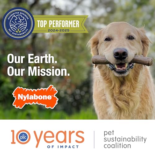 Nylabone Nubz Natural Edible Chew Treats for Dogs, Long Lasting Chews Made in USA, Chicken Flavor, Small - Up to 25 lbs. (8 Coun