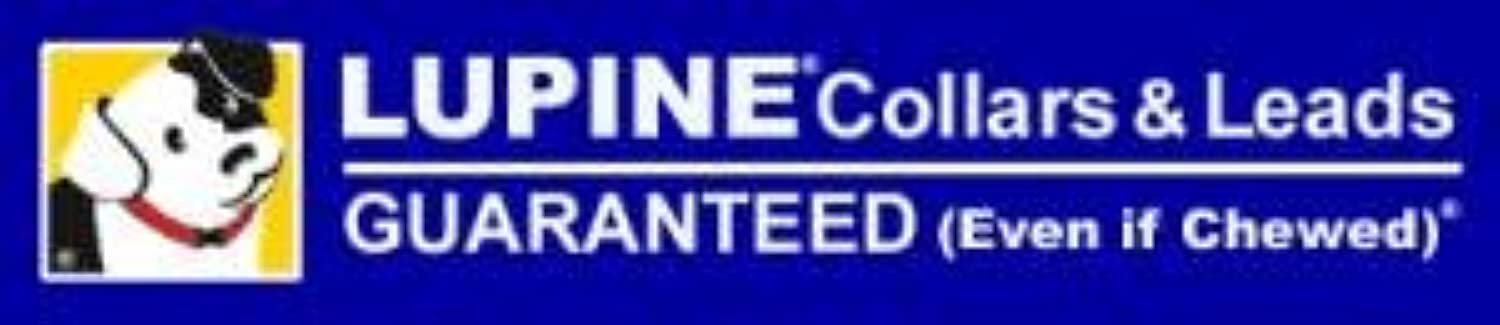 Lupinepet Basics 3/4' Green 20-30' Step In Harness For Medium Dogs