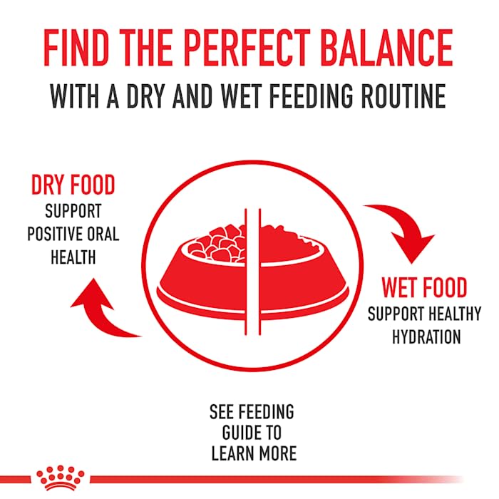 Royal Canin Medium Weight Care Adult Dry Dog Food for Medium Breeds, 30 lb bag