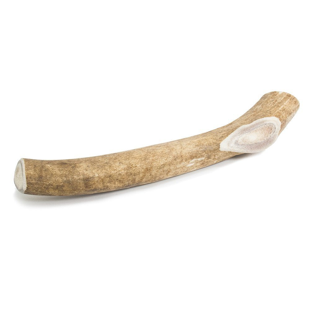 Prairie Dog Pet Products Deer Large Antler Treat, 8-9