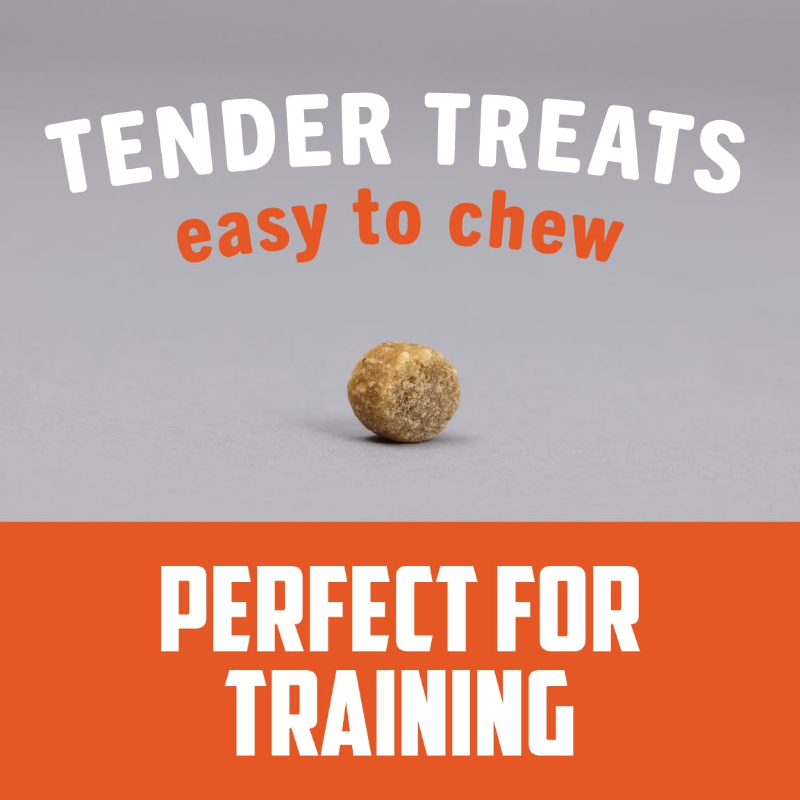 Sportsmans Pride Field Master Perfect Partner Chicken & Brown Rice Recipe Training Dog Treats, 12 oz.