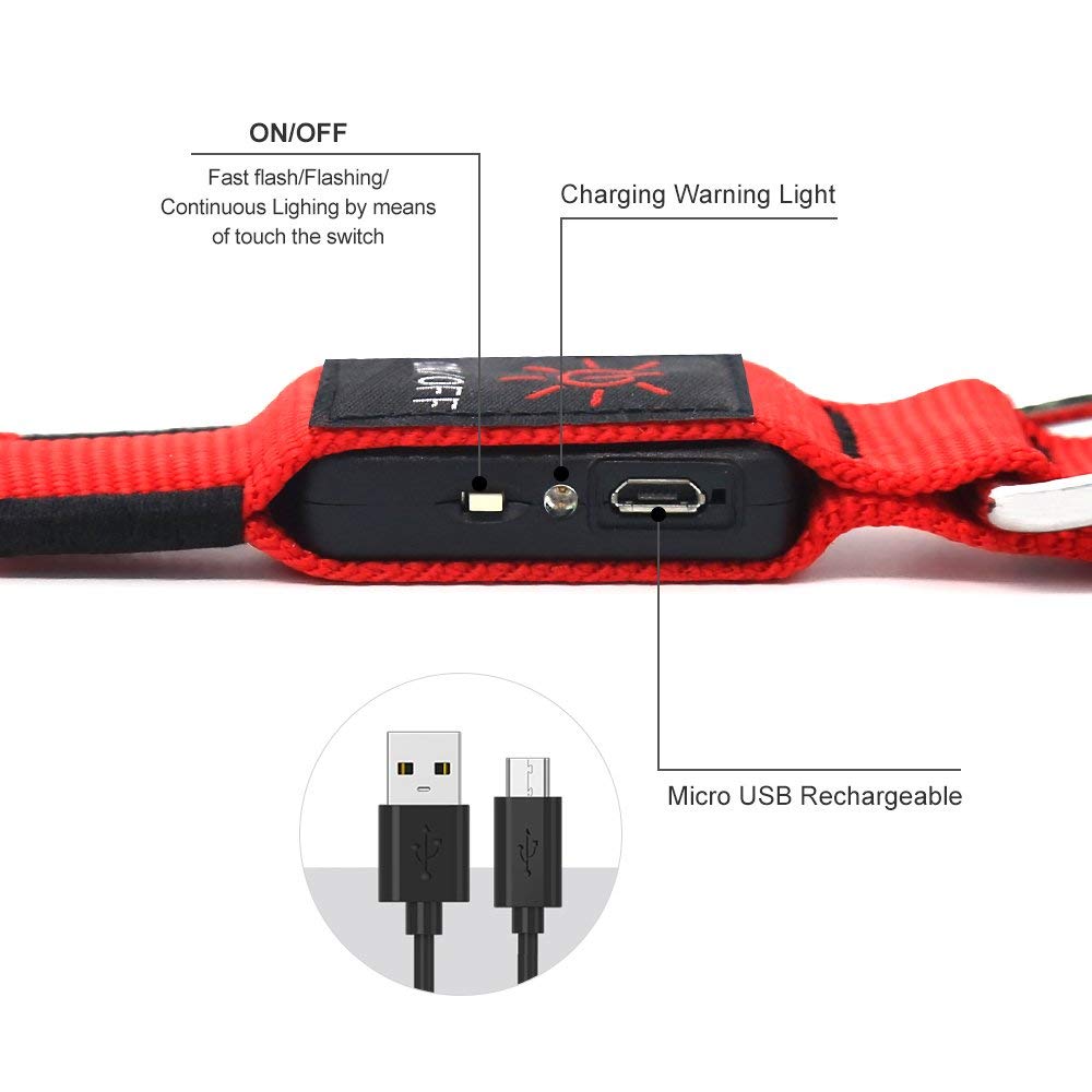Illumifun Led Dog Collar Usb Rechargeable Glowing Pet Collar Light, Adjustable Light Up Dog Collars Make Your Dogs Safe& Seen At Night (Red, Small)