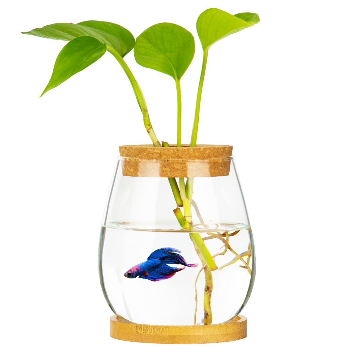 Desktop Fish Bowl Clear Glass Small Fish Tank with Wood Lid and Bamboo Stand for Betta Fish Plants Terrarium Home Office Decorat