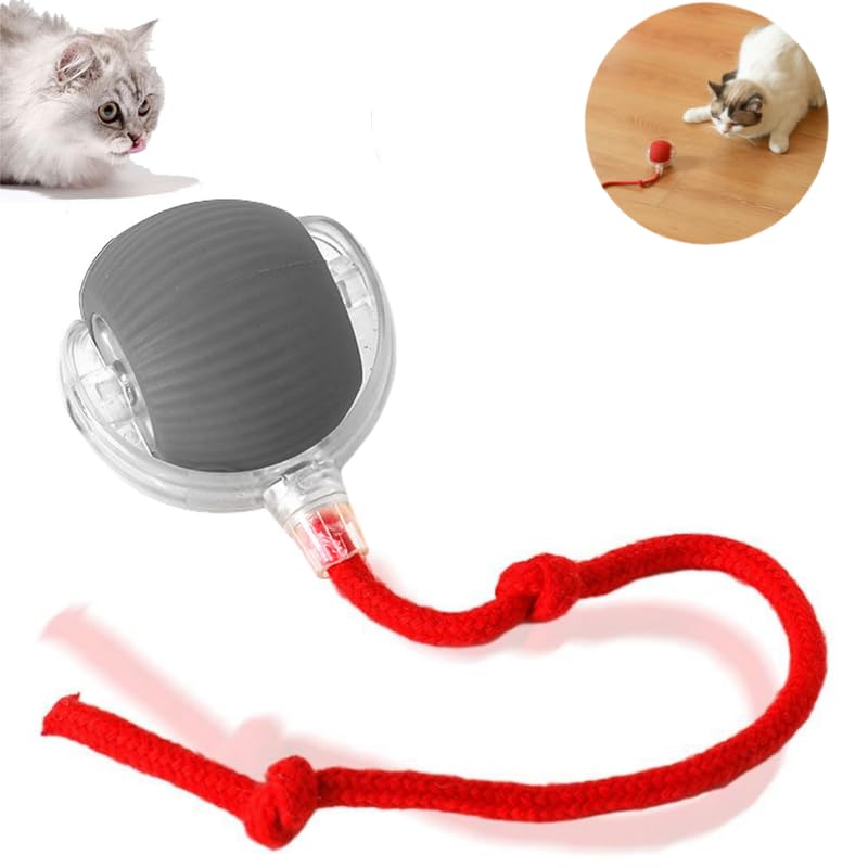 Zonciho 2025 New Interactive Cat Toys Balls,Automatic Moving Cat Balls, Cat Toys For Bored Indoor Cats(Grey)
