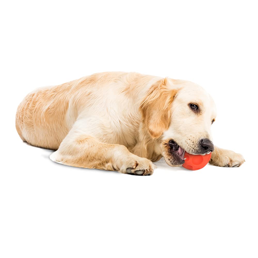 Omega Paw Authentic Tricky Treat Ball - Medium,Orange