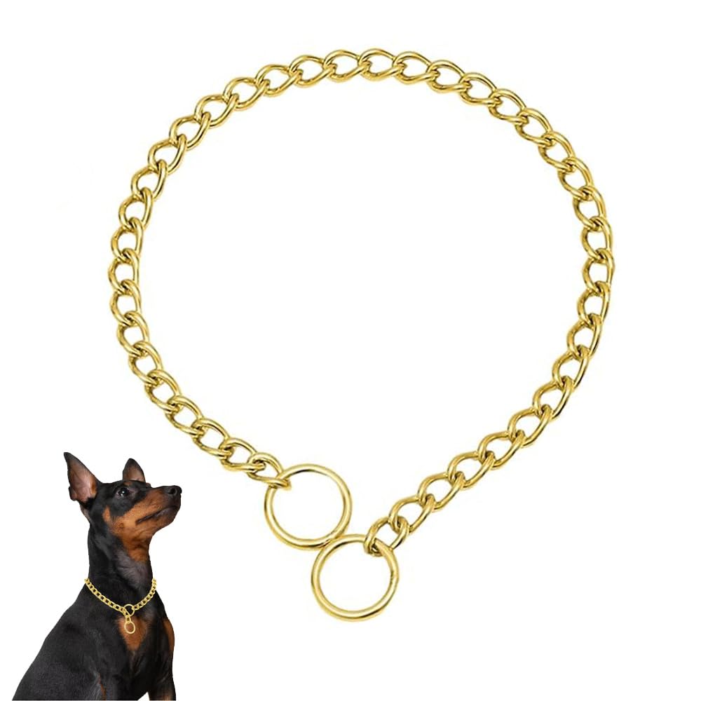 Gold Choker Collar For Dogs,Heavy Chain Dog Collar Metal Training Slip P Link Martingale Collars Puppy Choke Chain For Xxs Xs Sm