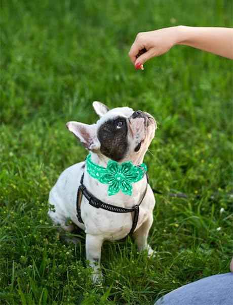 Unique Style Paws St. Patrick'S Dog Collar With Bow Green Clover Dog Collar Flower Bowtie Collar For Large Medium Small Dogs