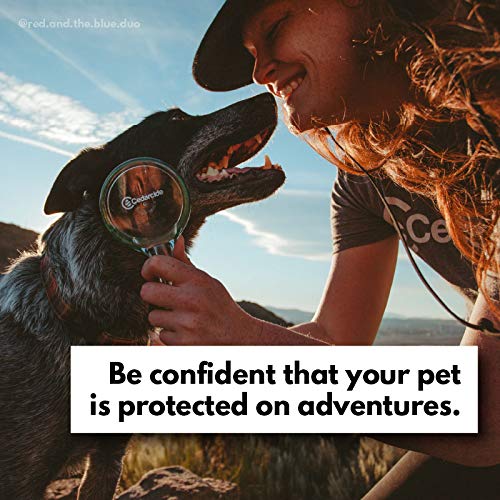 Cedarcide Flea + Tick Pet Brush (4 oz Pack) | Durable Grooming Brush Effectively Applies Cedarcide Original Biting Insect Spray