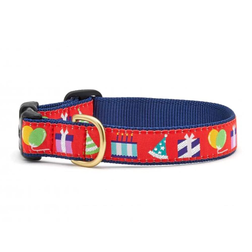 Up Country Birthday Gift Dog Collar (Birthday Gift Collar, Small (9 To 15 Inches) 1 Inch Wide Width)