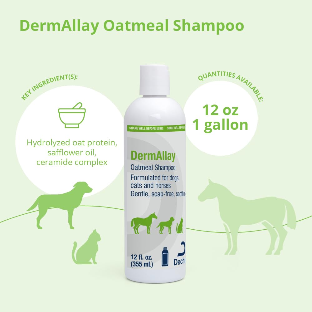 Dermallay Oatmeal Shampoo, 12 Ounce