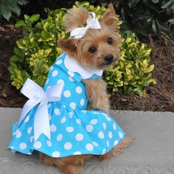 Doggie Design Blue Polka Dot Dress W/Leach & D-Ring (X-Small)