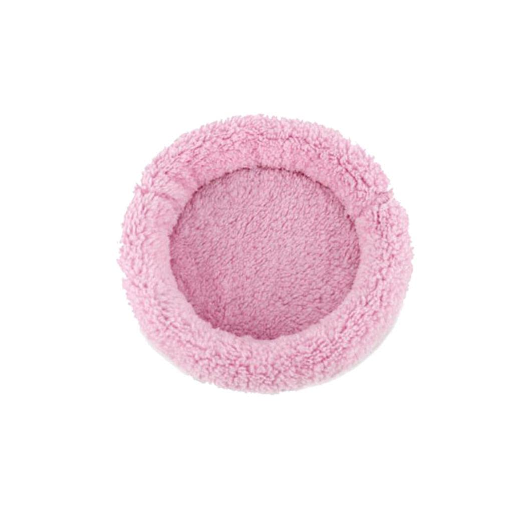 Pet Play Toy Pad Sleep Gym Mat Combo for Guinea Pig Hamster Small Animal