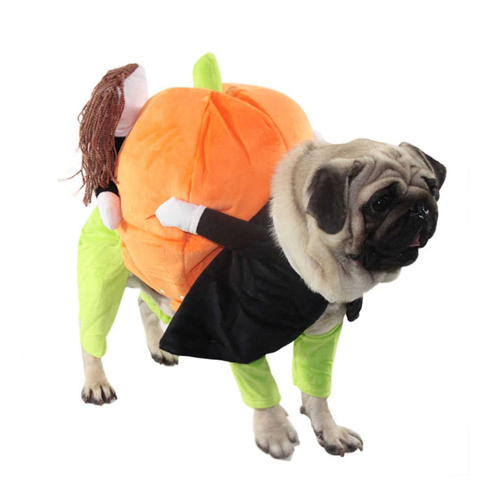 Pet Life 'Pumpkin Mon' Halloween Pet Dog Costume(D0102HAXPLG.)