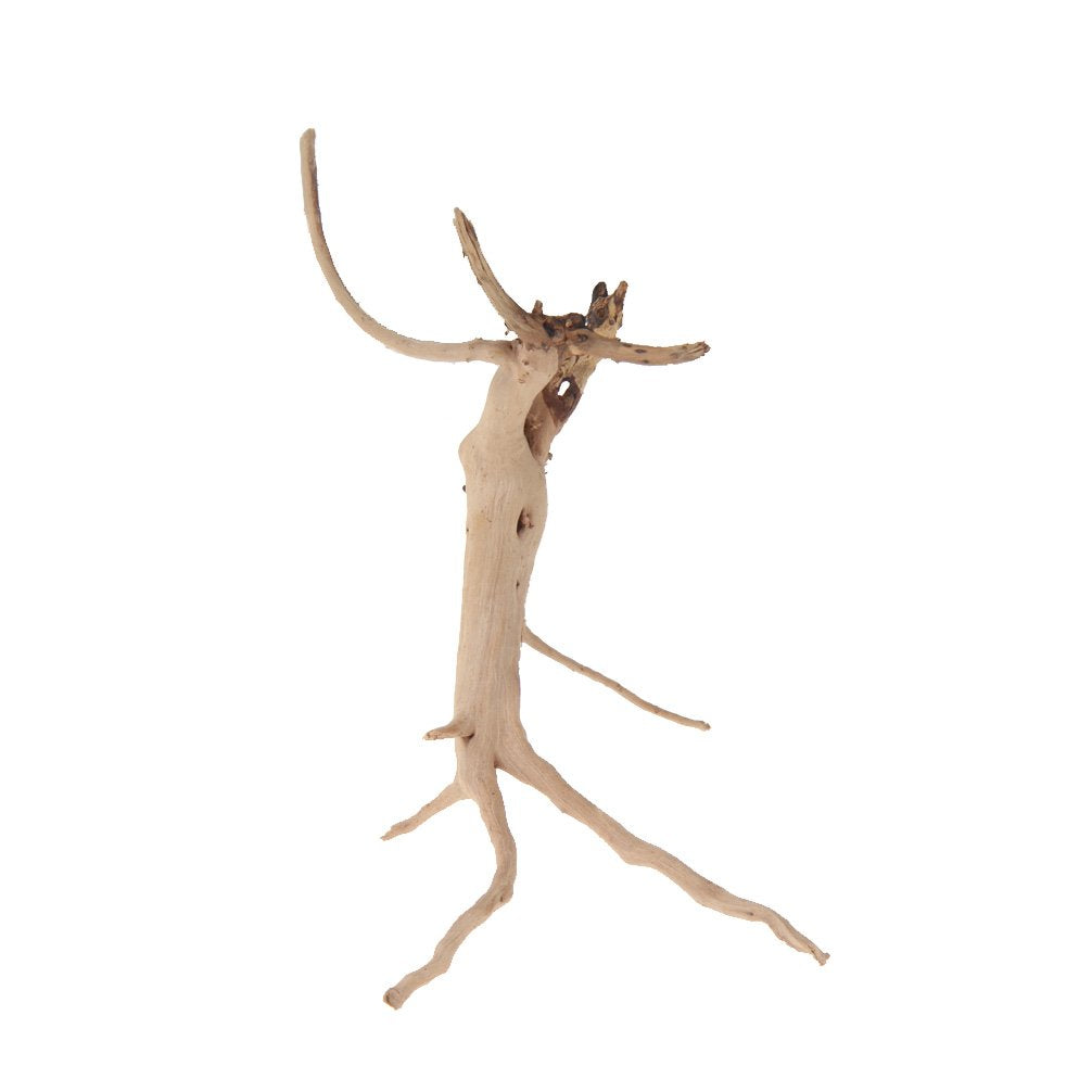 Emours Natural Driftwood Vine Branches Reptiles Aquarium Decoration Assorted Sizes,Small,4 Pieces