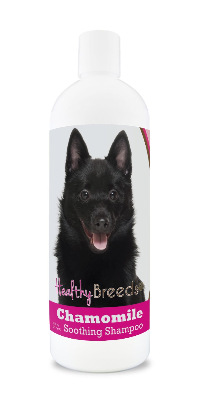 Healthy Breeds Schipperke Chamomile Soothing Dog Shampoo 8 oz