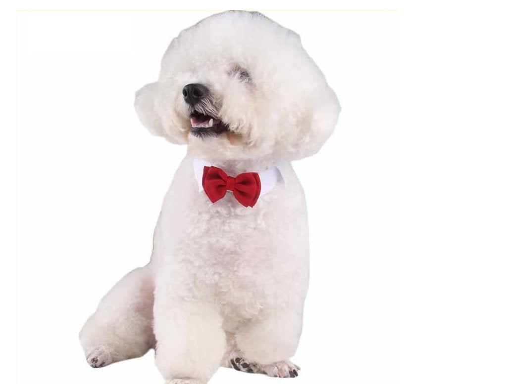 Selected Adjustable Dog Bow Tie Puppy Pet Costume Collar Stripe Bow Tie Dogs Cats Puppy Tie Neck Tie - Perfect For Wedding Tie Party Accessories (Formal Collar Bowtie-Red)