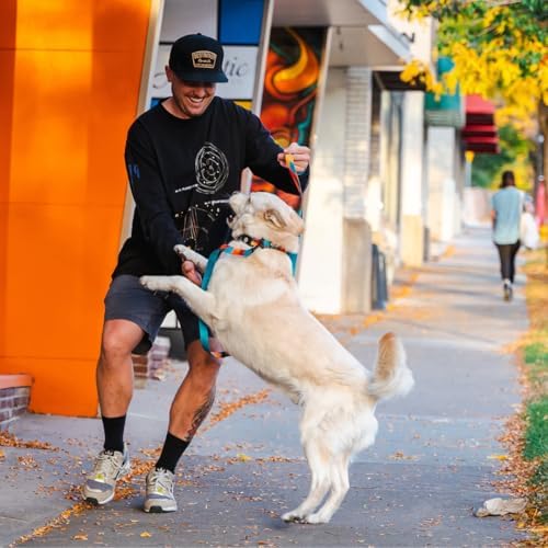 Wolfgang Heavy Duty Dog Leash, Pull-Tested To Over 800 Lbs For Walking & Training, Shattershapes Print, Large