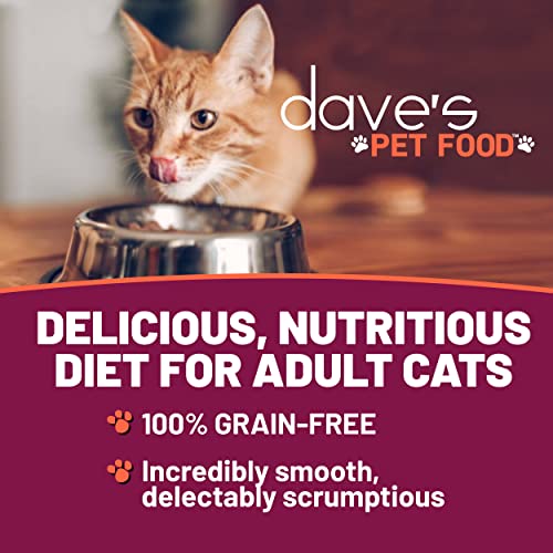 Daves Pet Food Grain Free Wet Cat Food (Shredded Salmon in Gravy), Made in Canada Naturally Healthy Canned Cat Food, Added Vita