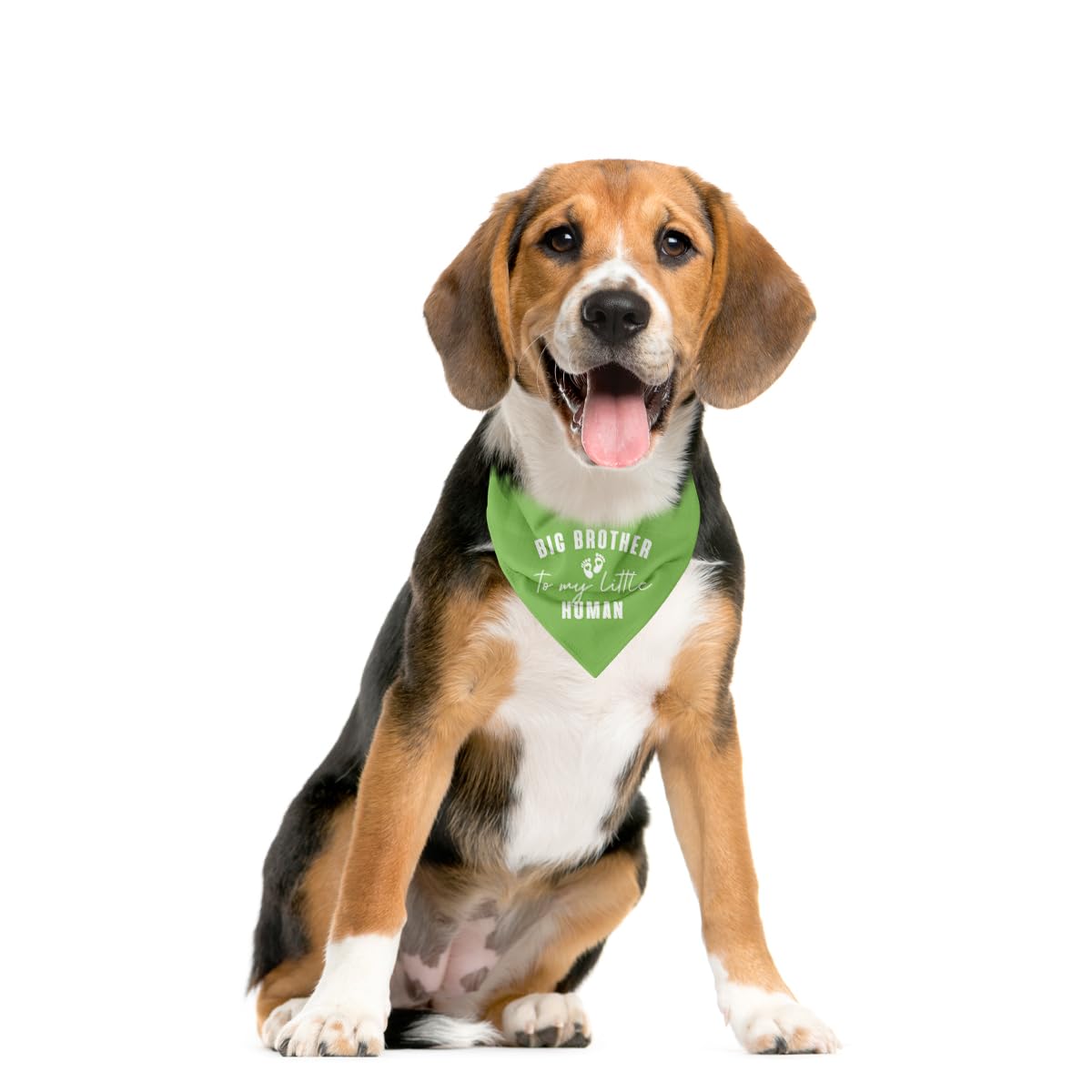 Big Brother To My Little Human Dog Bandana, Big Brother Bandana For Dog, Dogs Bandanas For Small Medium Dogs, Pet Scarf (D18)