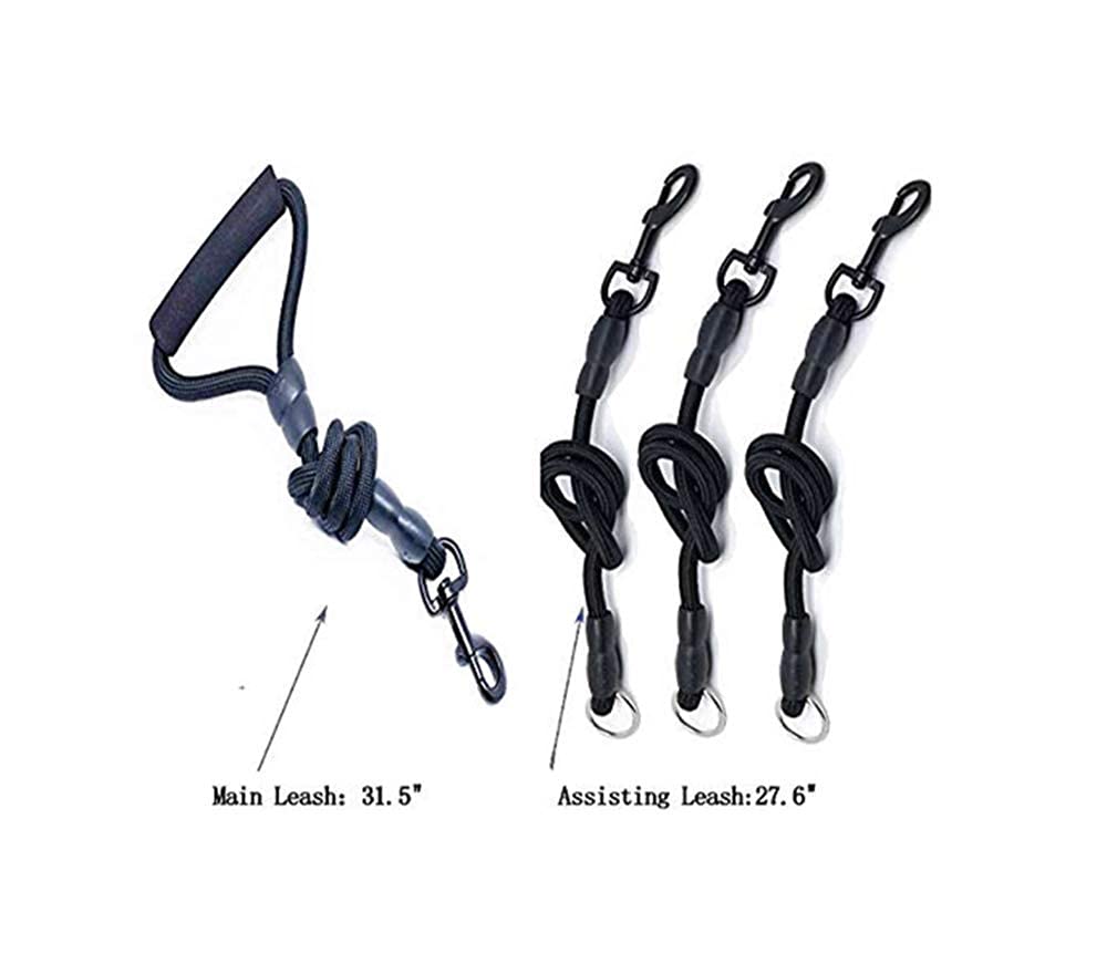 Heavy Duty 3 Dog Leash,3 Way Dog Leash No Tangle,Detachable 360° Swivel Device,Multiple Dog Leash With Padded Handle,For Walking And Training Two/Three Dog Leash(Black, L/30-130 Ibs)