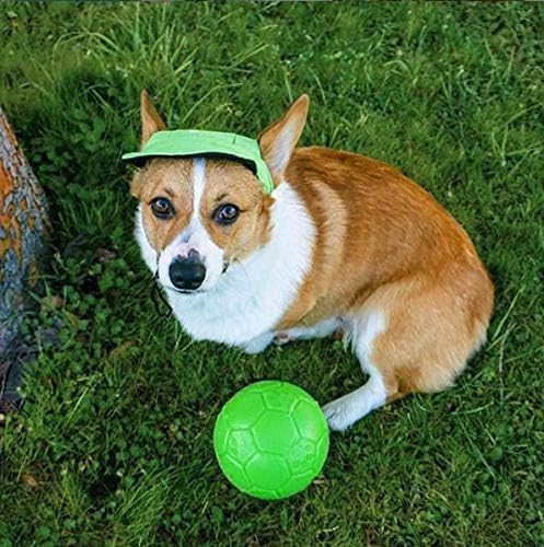 Jolly Pets Medium Soccer Ball Floating-Bouncing Dog Toy, 6 Inch Diameter, Apple Green (Sb06 Gr)