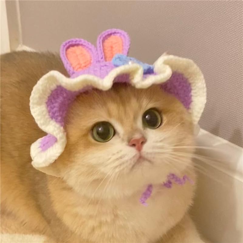 Qwinee 3D Ear Design Knit Cute Dog Hat Soft Cat Hat Rabbit Hat Halloween Christmas Party Costume Head Wear Accessories For Puppy