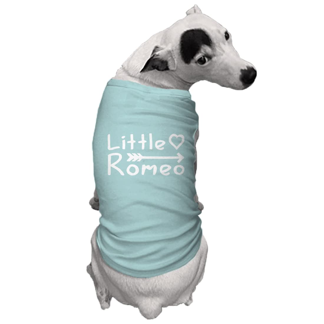 Little Romeo - Stud Handsome Cute Juliet Love Dog Shirt (Chill, 3X-Large)