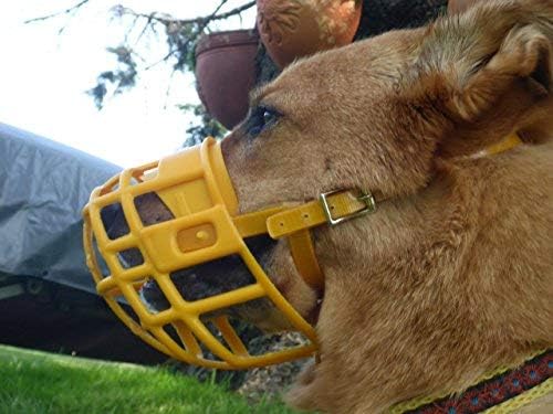 Birdwell Enterprises - Plastic Dog Muzzle With Adjustable Plastic Coated Nylon Headstall - Made In The Usa - (Large, Red)