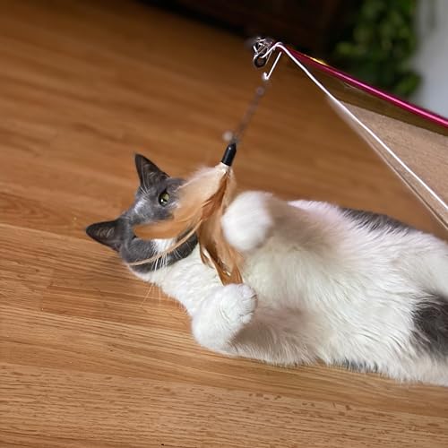 Spot Fishing Rod 'N Reel Kitty Teaser - Cat Toy Fishing Pole Casts A Line Over 7 Feet With Working Reel Locks In Line When You Make Your Catch, Feather End Teases And Entices Cats To Pounce And Chase