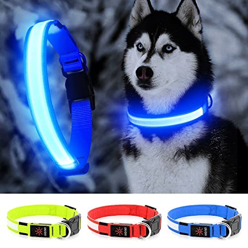 Yfbrite Ultra Light Usb Rechargeable Led Dog Collar - Adjustable Light Up Dog Collar - Waterproof Dog Collar - Flashing Dog Collar Visiblity & Safety For Your Dogs (Blue, Small)