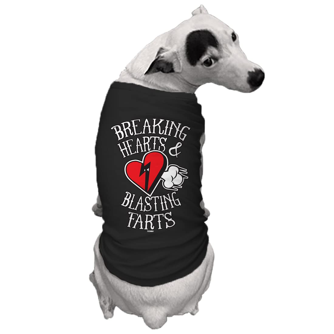 Tcombo Breaking Hearts & Blastings Farts Dog Shirt (Black, X-Small)