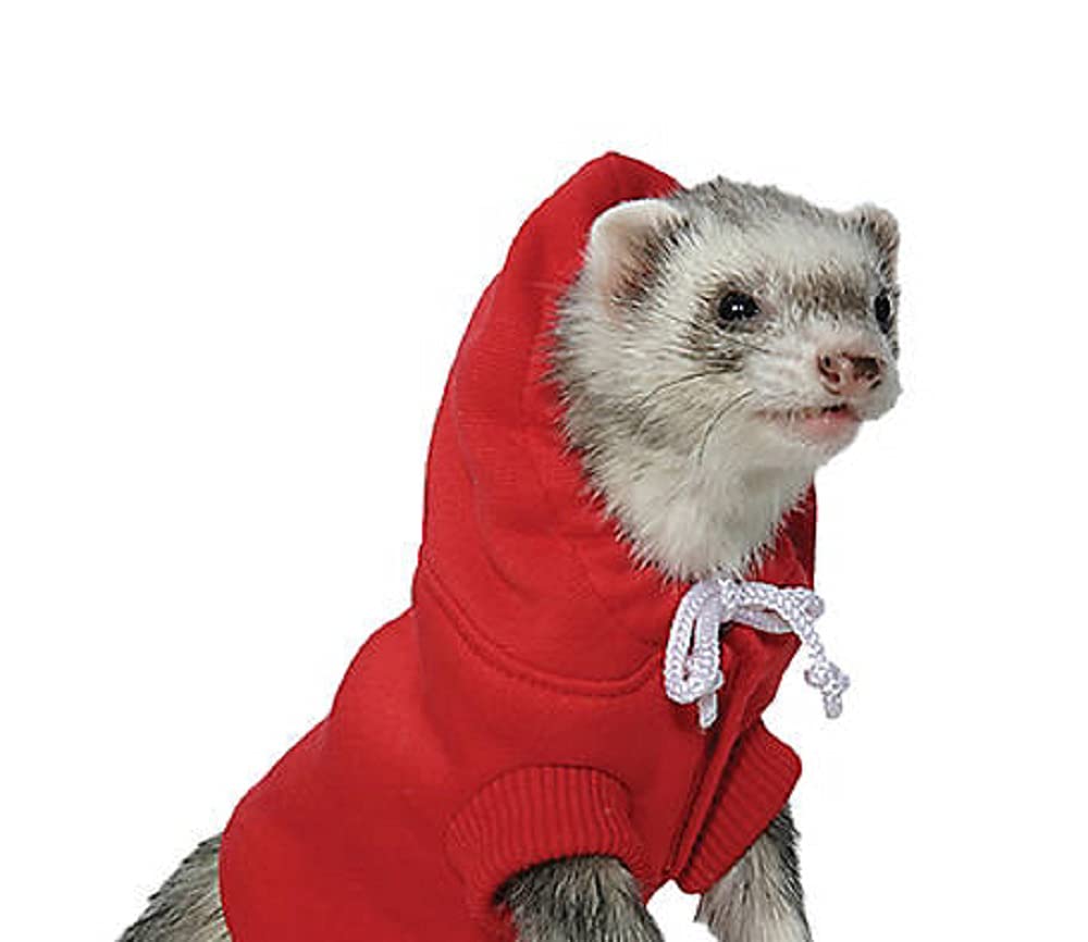 Marshall Ferret Sweatshirt, Colors Vary