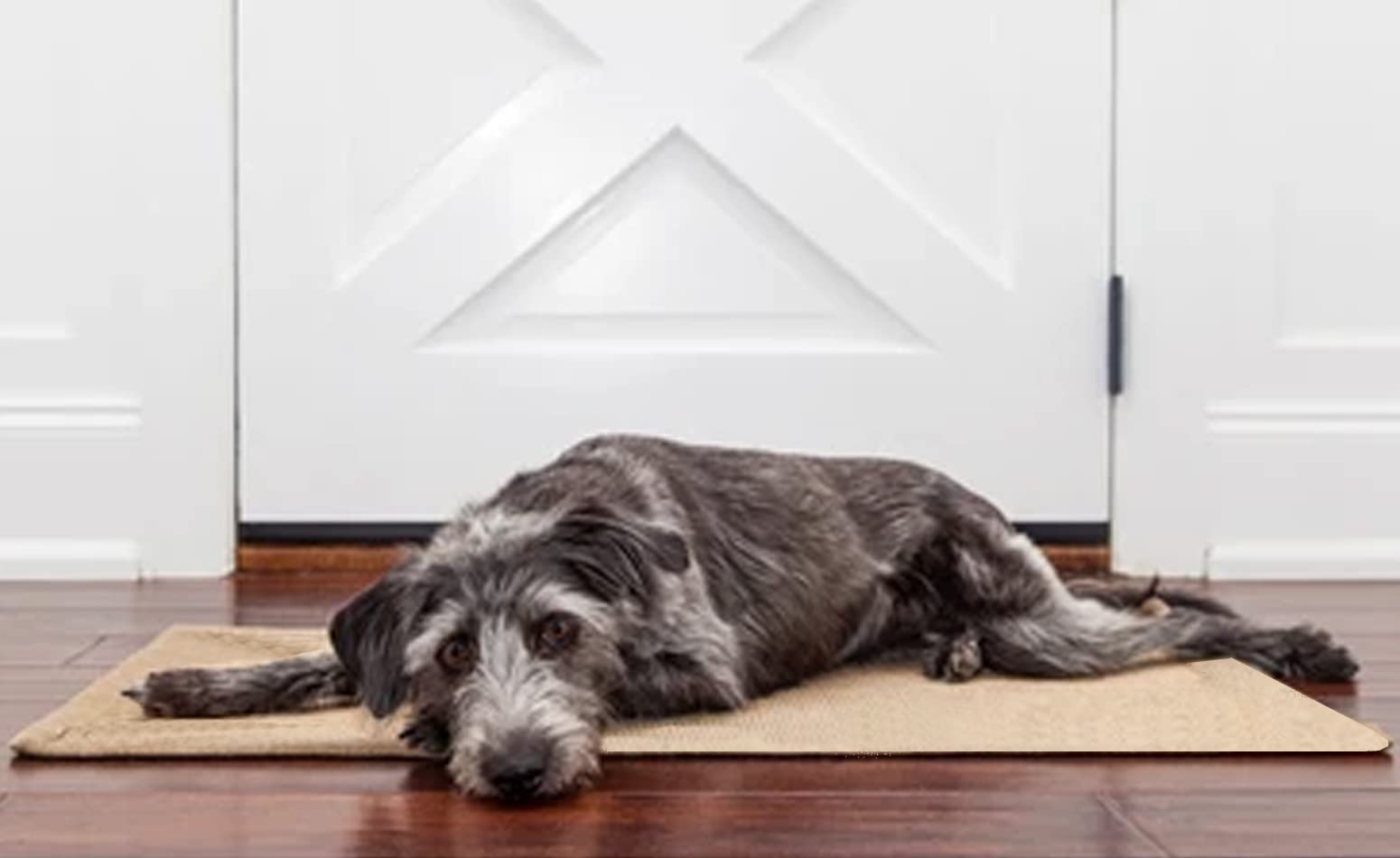 Bulk Buys Kole Ki-Of794 Easy To Clean Cozy Pet Mat, One Size