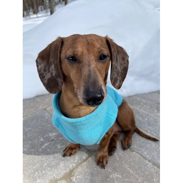 Gooby Boys 3X-Large Chest (~28.5 Inch) Zip Up Fleece, Turquoise, 3X-Large 28.5 Us