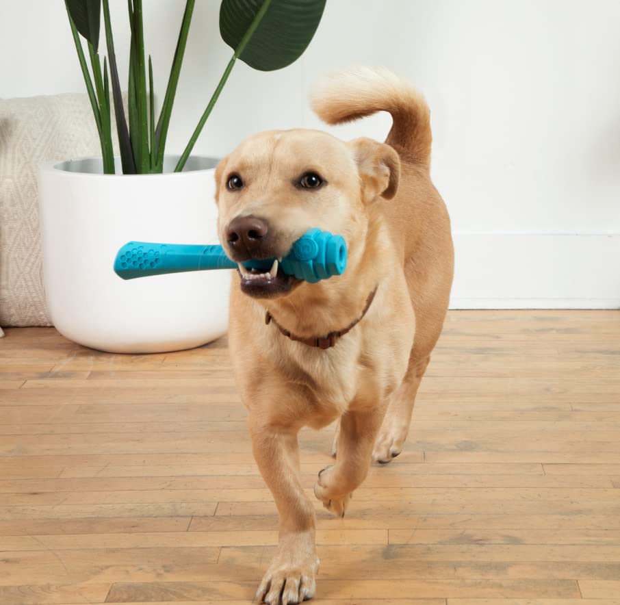 Project Hive ·Pet Company· - Soothing Vanilla Scented - Hive Dog Fetch Stick For Large Breeds - Dog Stick Toy - Floats In Water - Treat Dispenser Toy - Durable And Tough - Made In The Usa