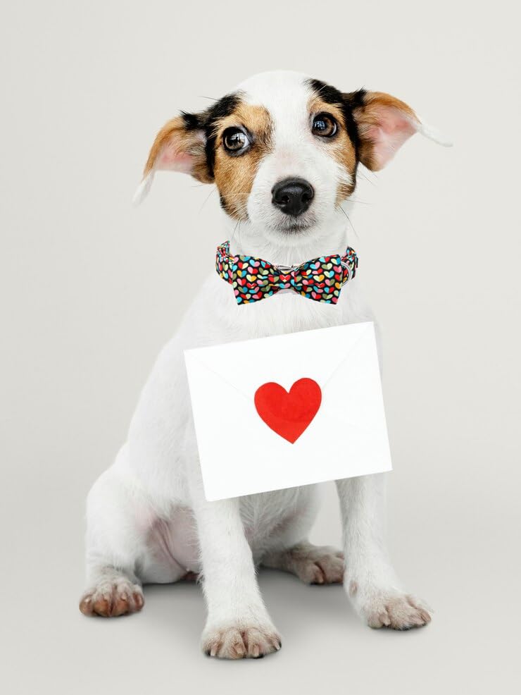 Unique Style Paws Valentine'S Dog Collar With Bow Colorful Heart Love Dog Collars For Small Medium Large Dog