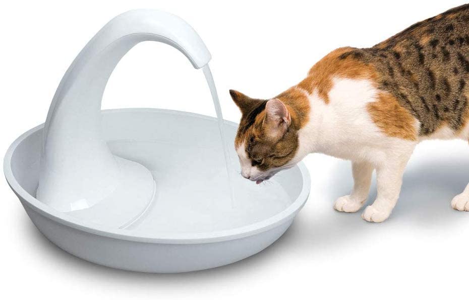 Pioneer Pet Swan Pet Drinking Fountain For Cats And Dogs - 80Oz Capacity, Great For Multiple Pets - Great For Pets Who Love The