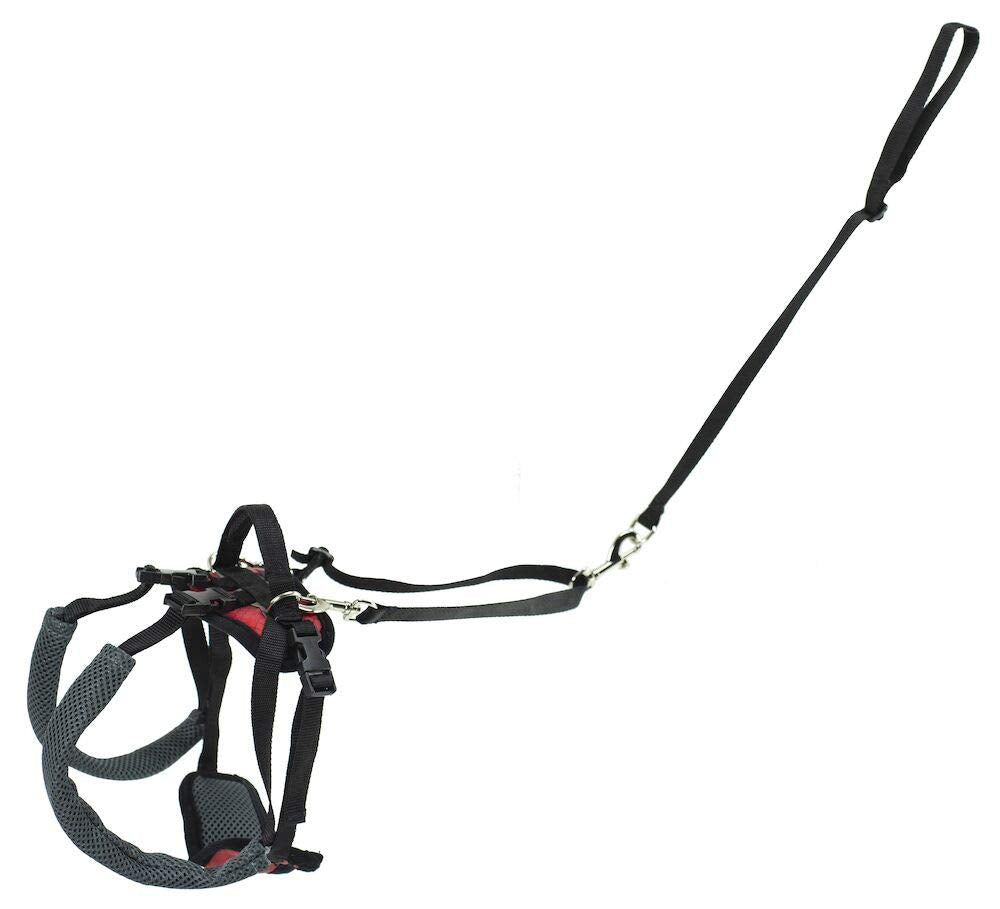 Petsafe Carelift Rear Support Harness - Lifting Aid With Handle - Great For Pet Mobility And Older Dogs - Comfortable, Breathabl
