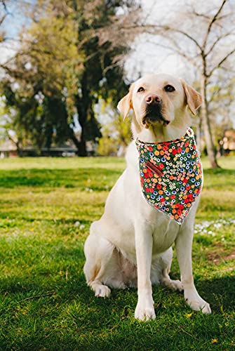 Lionheart Glory Dog Bandana 1 Pack Washable Soft Cotton Daisy Print Bibs Scarf, Adjustable Kerchief Square Dog Bandanas For Smal