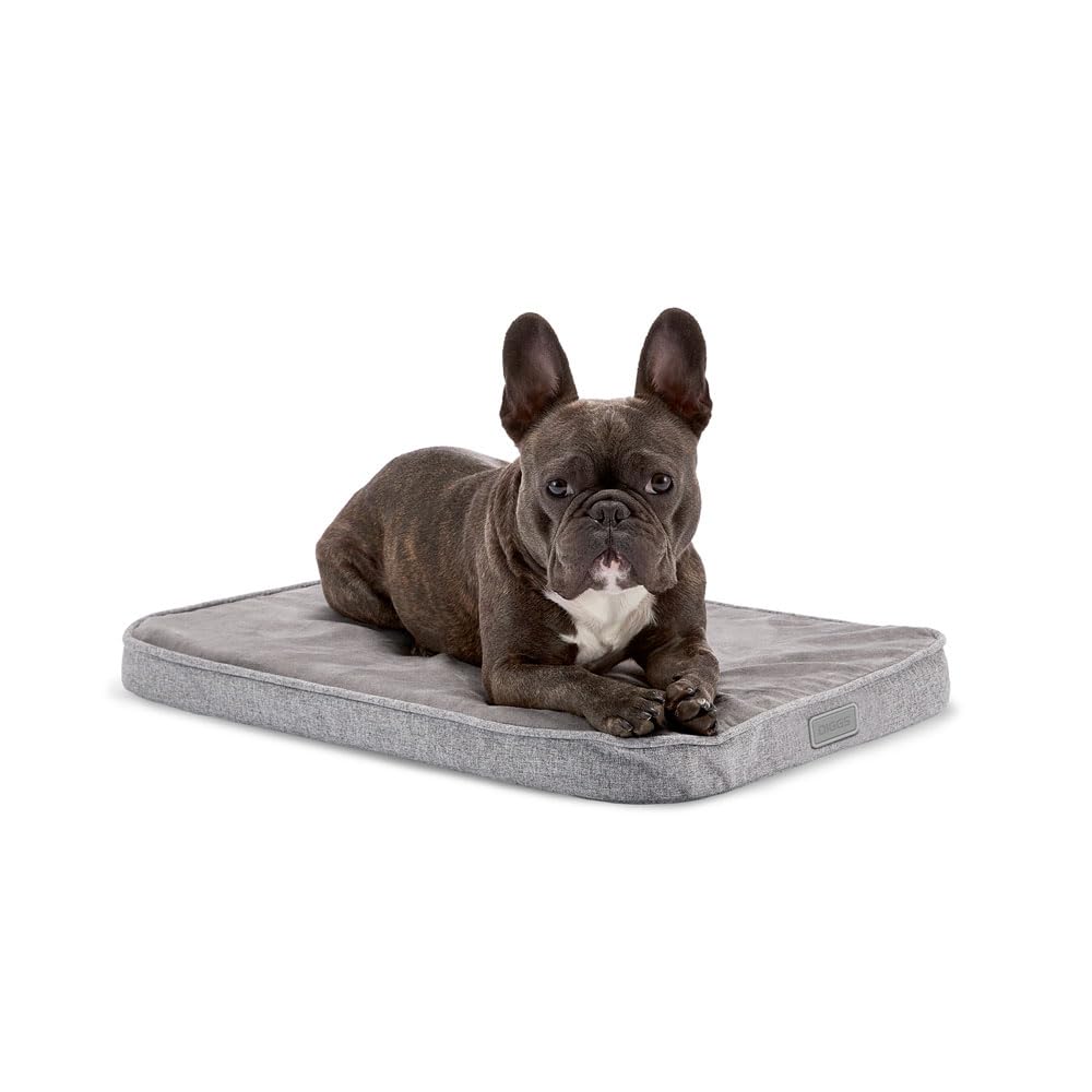 Diggs Snooz Memory Foam Dog Bed - Ideally Sized Revol Dog Crate Pad - Premium Orthopedic Pet Bed For Crate Or Home - Grey, Small